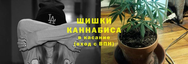 мдпв Гусиноозёрск