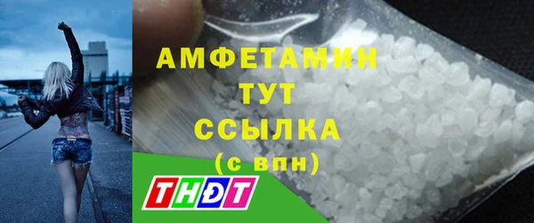 шишки Гусь-Хрустальный
