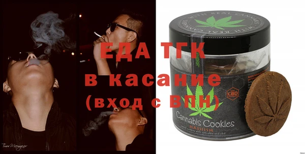 шишки Гусь-Хрустальный