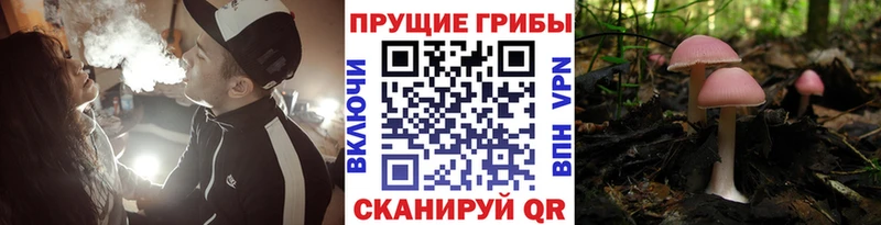 Псилоцибиновые грибы мухоморы  Дигора 